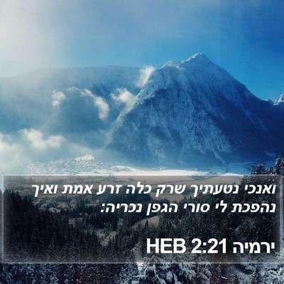 ירמיה 2:21 HEB Bible Verse Image