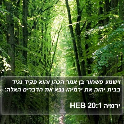 ירמיה 20:1 HEB Bible Verse Image