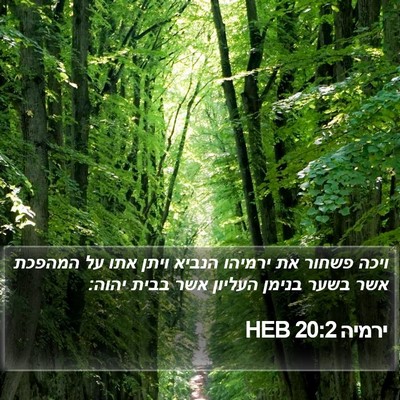 ירמיה 20:2 HEB Bible Verse Image