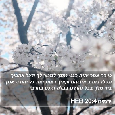 ירמיה 20:4 HEB Bible Verse Image