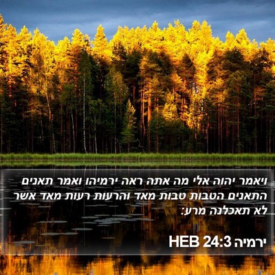 ירמיה 24:3 HEB Bible Verse Image