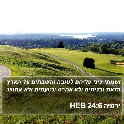ירמיה 24:6 HEB Bible Verse Image
