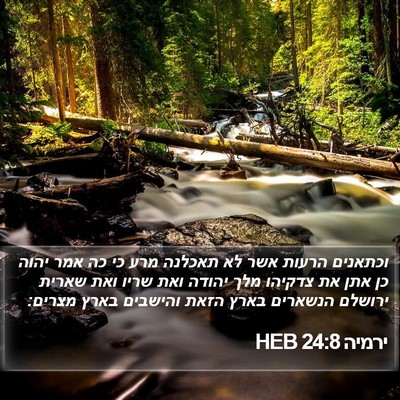ירמיה 24:8 HEB Bible Verse Image