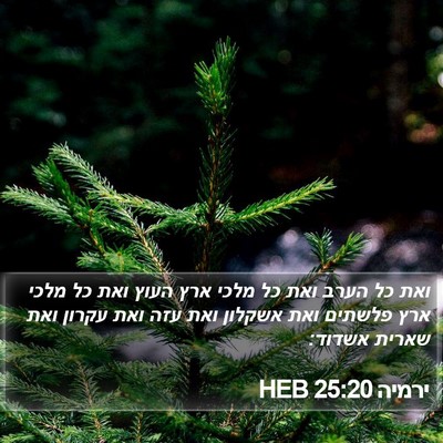 ירמיה 25:20 HEB Bible Verse Image