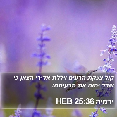 ירמיה 25:36 HEB Bible Verse Image