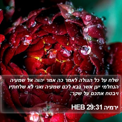 ירמיה 29:31 HEB Bible Verse Image