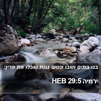 ירמיה 29:5 HEB Bible Verse Image