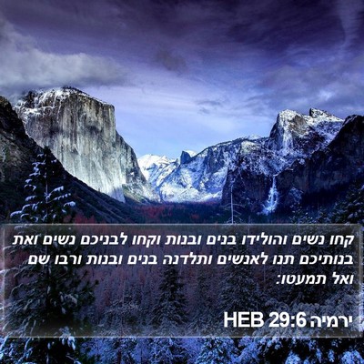 ירמיה 29:6 HEB Bible Verse Image