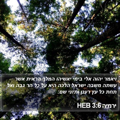ירמיה 3:6 HEB Bible Verse Image