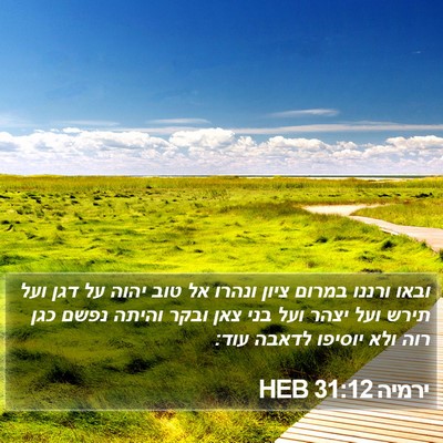 ירמיה 31:12 HEB Bible Verse Image