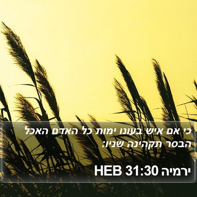 ירמיה 31:30 HEB Bible Verse Image