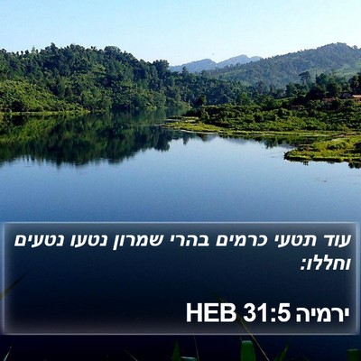 ירמיה 31:5 HEB Bible Verse Image