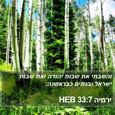 ירמיה 33:7 HEB Bible Verse Image