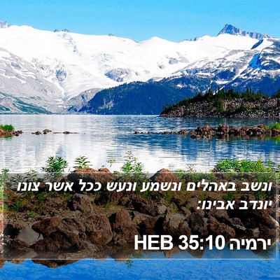 ירמיה 35:10 HEB Bible Verse Image
