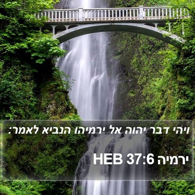 ירמיה 37:6 HEB Bible Verse Image