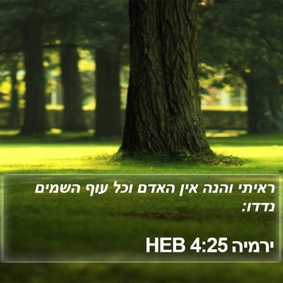 ירמיה 4:25 HEB Bible Verse Image