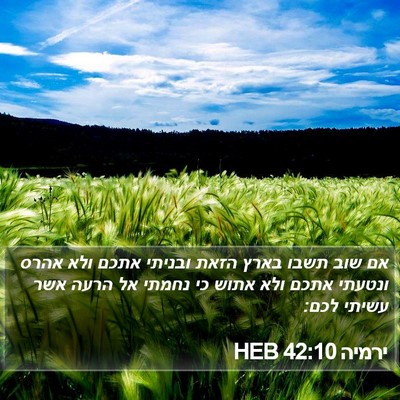 ירמיה 42:10 HEB Bible Verse Image
