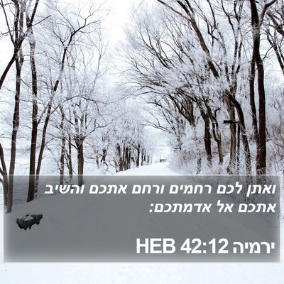 ירמיה 42:12 HEB Bible Verse Image