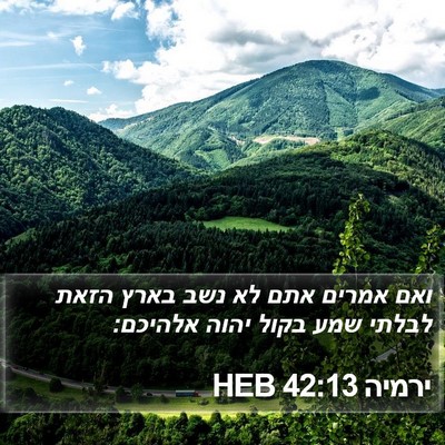ירמיה 42:13 HEB Bible Verse Image