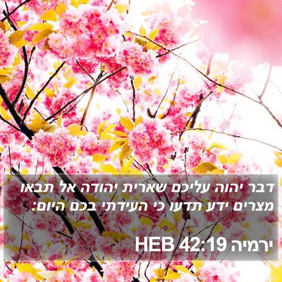 ירמיה 42:19 HEB Bible Verse Image