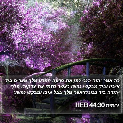 ירמיה 44:30 HEB Bible Verse Image