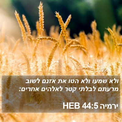 ירמיה 44:5 HEB Bible Verse Image