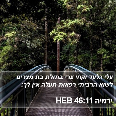 ירמיה 46:11 HEB Bible Verse Image