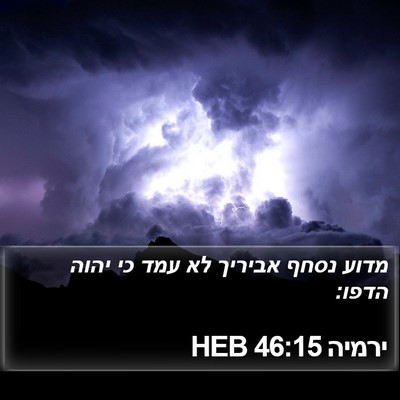 ירמיה 46:15 HEB Bible Verse Image