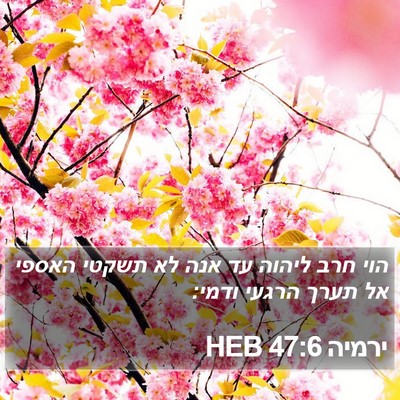 ירמיה 47:6 HEB Bible Verse Image