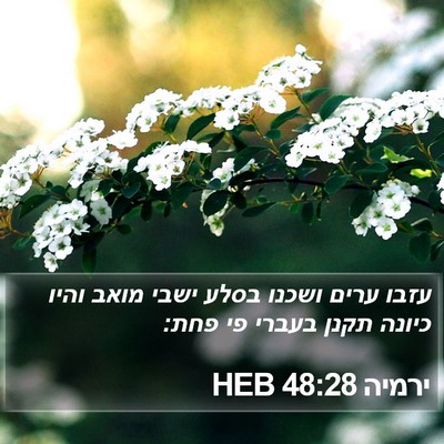 ירמיה 48:28 HEB Bible Verse Image