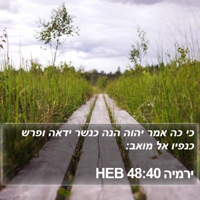 ירמיה 48:40 HEB Bible Verse Image