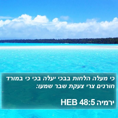 ירמיה 48:5 HEB Bible Verse Image