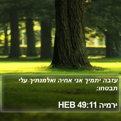 ירמיה 49:11 HEB Bible Verse Image