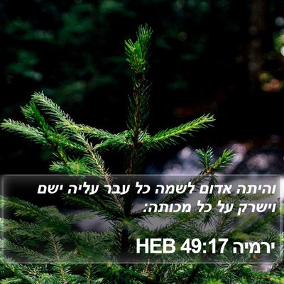 ירמיה 49:17 HEB Bible Verse Image