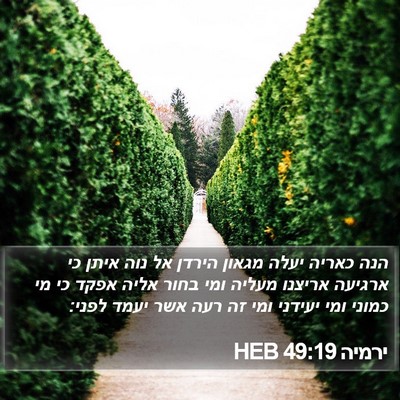ירמיה 49:19 HEB Bible Verse Image