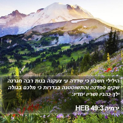 ירמיה 49:3 HEB Bible Verse Image