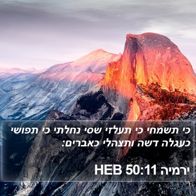 ירמיה 50:11 HEB Bible Verse Image