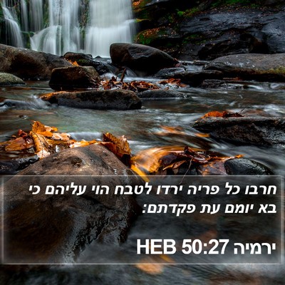 ירמיה 50:27 HEB Bible Verse Image