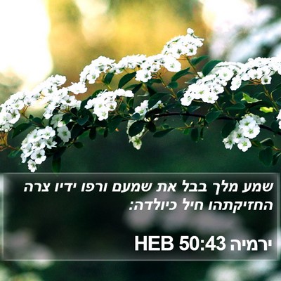 ירמיה 50:43 HEB Bible Verse Image