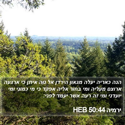 ירמיה 50:44 HEB Bible Verse Image