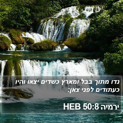 ירמיה 50:8 HEB Bible Verse Image