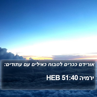 ירמיה 51:40 HEB Bible Verse Image