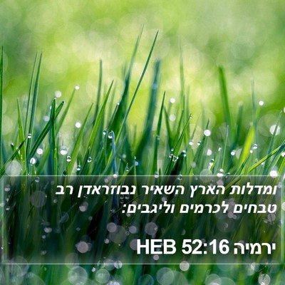 ירמיה 52:16 HEB Bible Verse Image