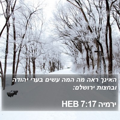 ירמיה 7:17 HEB Bible Verse Image