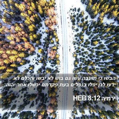 ירמיה 8:12 HEB Bible Verse Image