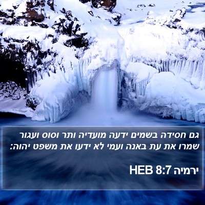 ירמיה 8:7 HEB Bible Verse Image