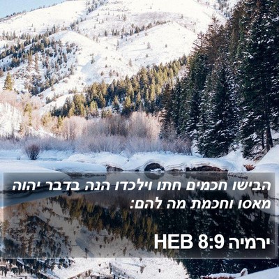 ירמיה 8:9 HEB Bible Verse Image