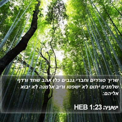 ישעיה 1:23 HEB Bible Verse Image