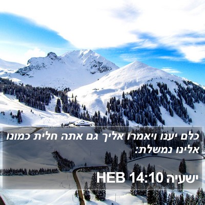 ישעיה 14:10 HEB Bible Verse Image
