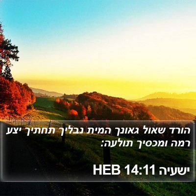 ישעיה 14:11 HEB Bible Verse Image